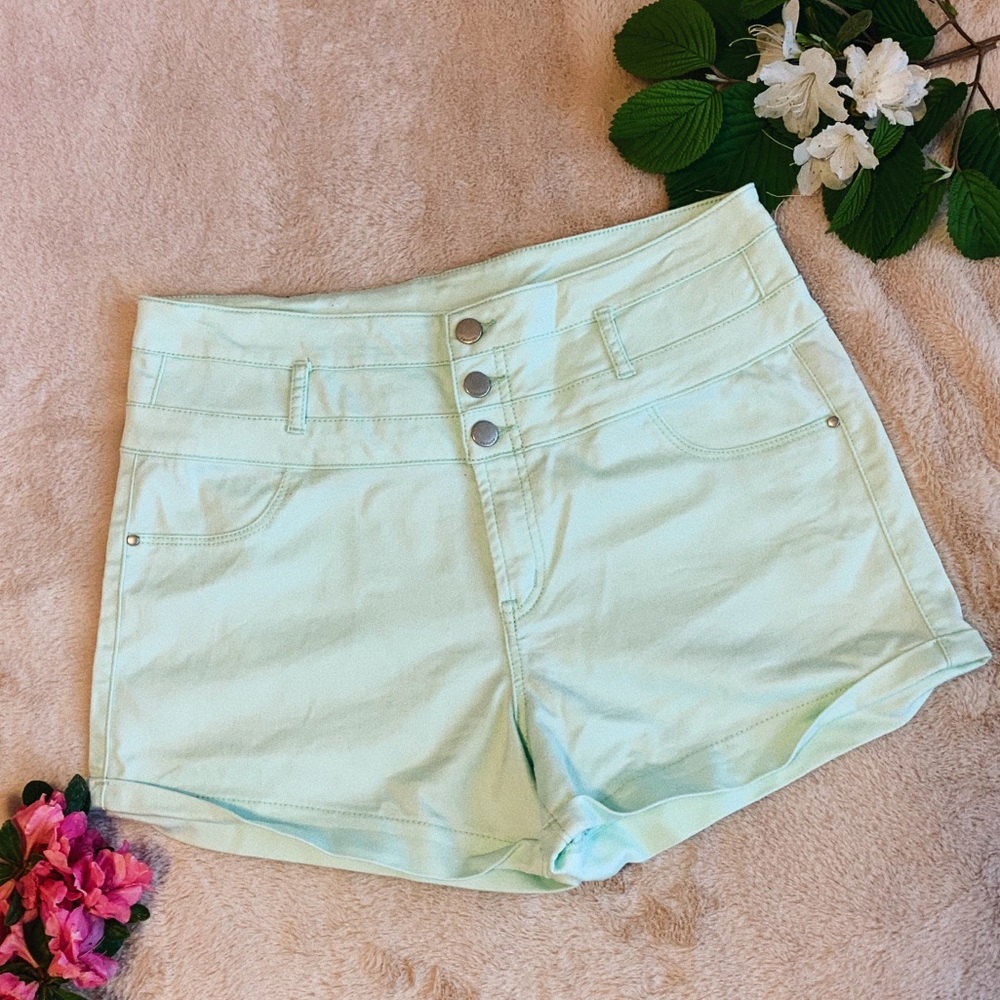 Refuge Mint Shorts